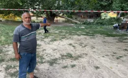 Kırılan ağaç dalı aynı aileden 11 kişiyi hastanelik etti