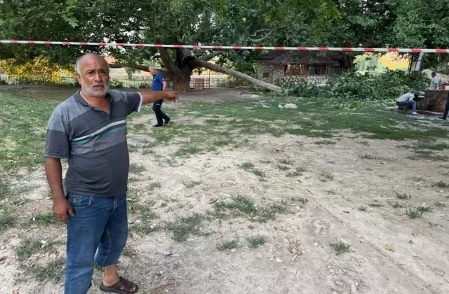Kırılan ağaç dalı aynı aileden 11 kişiyi hastanelik etti