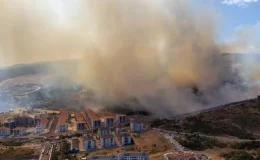 Kocaeli’de söndürülen orman yangını havadan görüntülendi