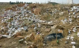 Aracını yol kenarına park eden sürücü, yüzlerce kutu ilaç buldu