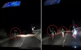 Korku filmlerini andıran görüntü! Aniden yola fırladılar, sürücü geri manevra yaparak kurtuldu