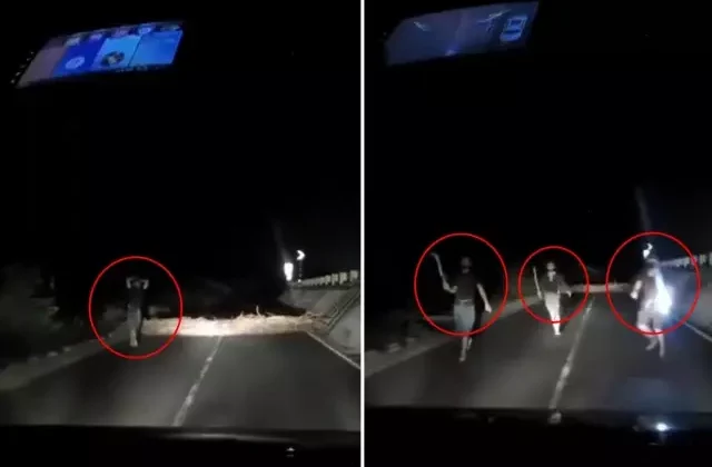 Korku filmlerini andıran görüntü! Aniden yola fırladılar, sürücü geri manevra yaparak kurtuldu