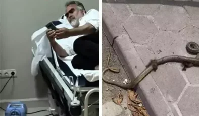 Mevsimlik işçiye yılan saldırdı, hastanelik oldu