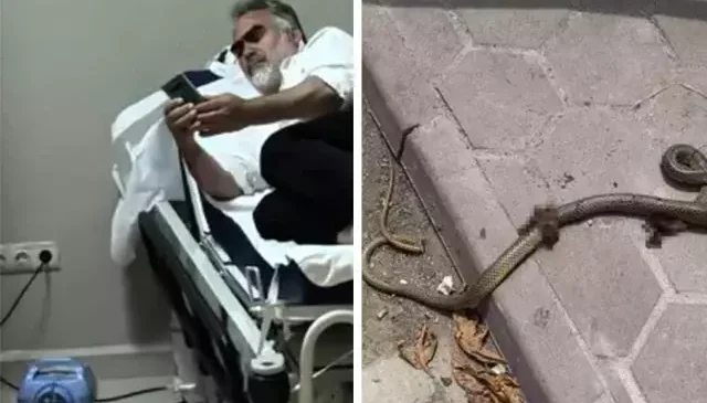 Mevsimlik işçiye yılan saldırdı, hastanelik oldu