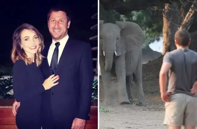 Milyoner safari patronu, 6 tonluk filin saldırısına uğrayarak feci şekilde can verdi