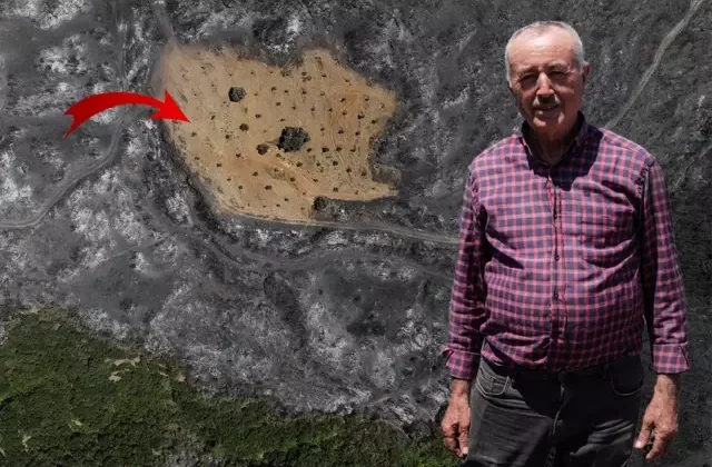 Ödemiş’te şaşırtan görüntü! Bir tek Ahmet Türk’ün arsası yanmadı