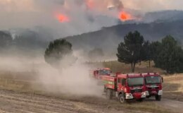 Orman yangınlarında ölümcül tuzak! Alev Kırbacı can alıyor