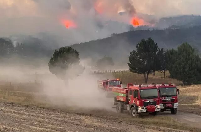 Orman yangınlarında ölümcül tuzak! Alev Kırbacı can alıyor