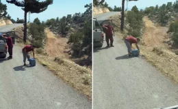 Pes dedirten duyarsızlık! Ciğerlerimizi yakan yangınlar işte böyle çıkıyor