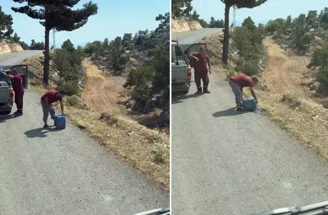 Pes dedirten duyarsızlık! Ciğerlerimizi yakan yangınlar işte böyle çıkıyor
