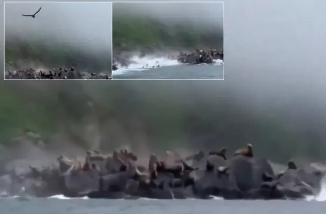 Rusya’daki 8.8’lik deprem sonrası korku filmlerini andıran görüntü