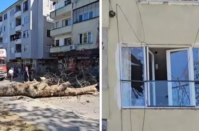 Sakarya’da asırlık ağaç binanın üzerine devrildi