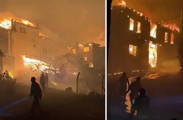 Sakarya’daki orman yangını tahliye edilen mahalleye sıçradı: Evler alev topuna döndü