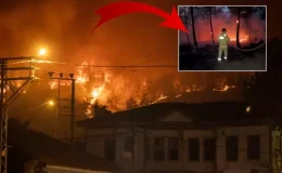 Sakarya yangını 15 saattir sürüyor! Alevlerin içinden yürekleri dağlayan çığlıklar