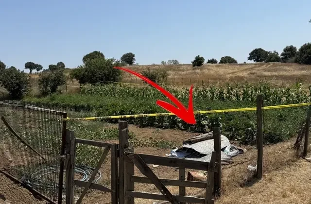 Sebze bahçesine giden kadının cansız bedeni su kuyusunda bulundu