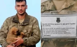 Şehit askerin son mesajı: Şerefle bitirilmesi gereken en ağır görev hayattır