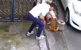 Sevmek bahanesiyle kedinin yanına yaklaştı, sonrasında olanlara inanamayacaksınız