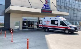 Sivas’ta kene bir can daha aldı