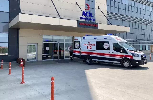 Sivas’ta kene bir can daha aldı