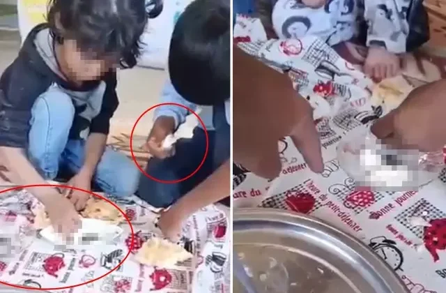 Skandal iddia: Üvey kardeşlerine hayvan dışkısı yedirdi