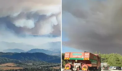 Suriye’deki orman yangını Hatay’ın Yayladağı ilçesine sıçradı