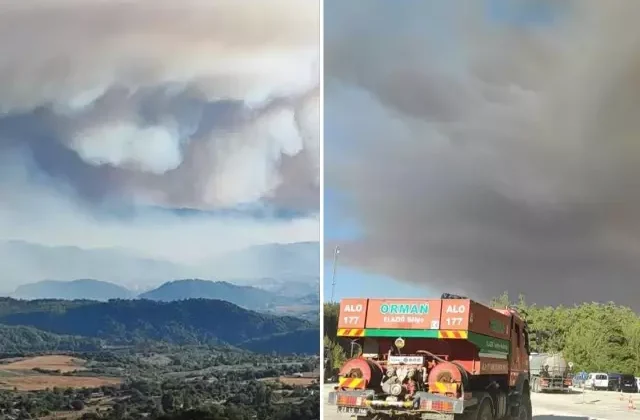 Suriye’deki orman yangını Hatay’ın Yayladağı ilçesine sıçradı