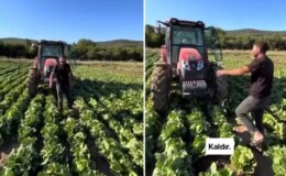 Tarlasındaki ürüne teklif edilen fiyat üreticiyi isyan ettirdi: Markette 30 TL’ye satıyorlar
