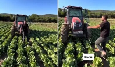 Tarlasındaki ürüne teklif edilen fiyat üreticiyi isyan ettirdi: Markette 30 TL’ye satıyorlar