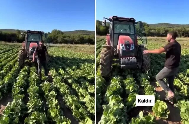 Tarlasındaki ürüne teklif edilen fiyat üreticiyi isyan ettirdi: Markette 30 TL’ye satıyorlar