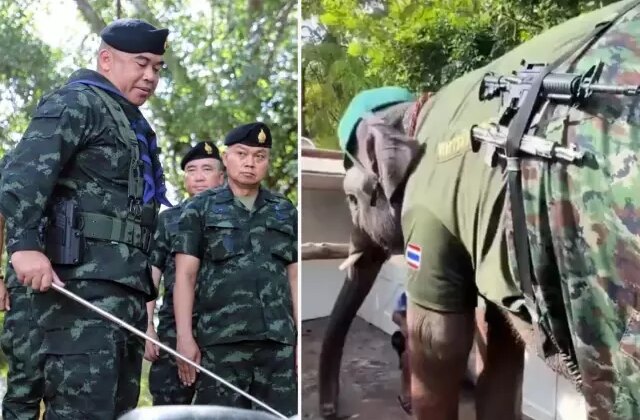 Tayland-Kamboçya savaşından ilginç görüntüler! Sınıra fil konuşlandırıldı