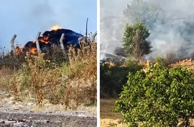 Tekirdağ’da anız yangını büyüdü