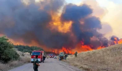 Tekirdağ’da orman yangını: Alevlerin tehdit ettiği bir mahalle boşaltılıyor