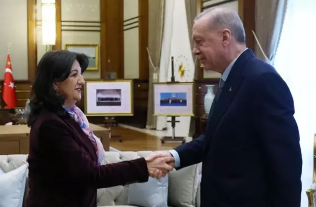 Cumhurbaşkanı Erdoğan ile DEM Parti heyeti arasındaki görüşme sona erdi