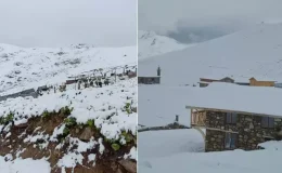 Üç ilimize temmuz ayında lapa lapa kar yağdı