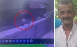 Sokakta yürürken 142 metre uzaklıktan ateşlenen havalı tüfek mermisiyle öldü