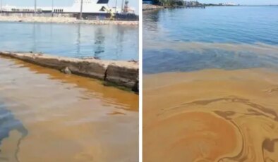 Yalova’da denizdeki kirliliğe jet inceleme! Numuneler TÜBİTAK’a gönderildi.