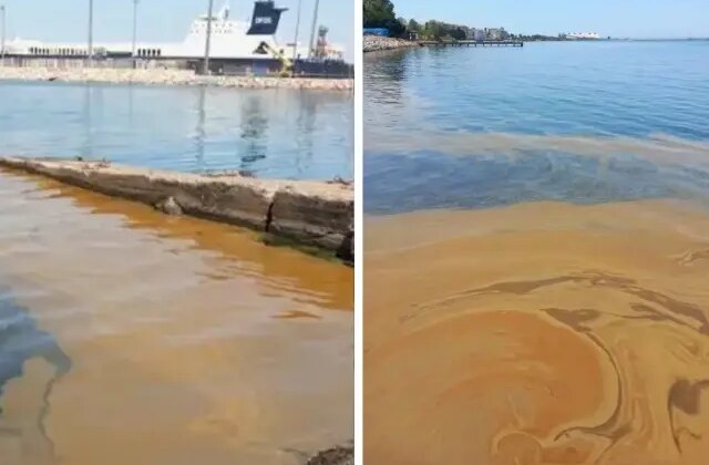 Yalova’da denizdeki kirliliğe jet inceleme! Numuneler TÜBİTAK’a gönderildi.