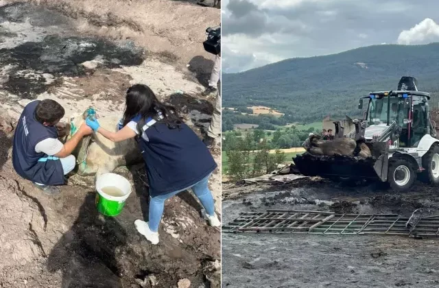 Yangın bölgesinde acı bilanço! Kepçelerle taşındılar