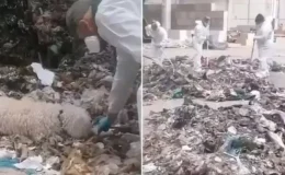 Yeni doğan bebeğini parçalayıp çöpe atan anne tutuklandı