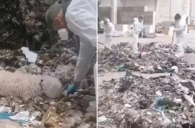 Yeni doğan bebeğini parçalayıp çöpe atan anne tutuklandı