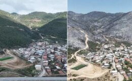 Yeşil Bursa’nın yangın öncesi ve sonrası yürek burktu