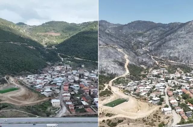 Yeşil Bursa’nın yangın öncesi ve sonrası yürek burktu