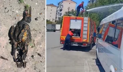 Yüksek gerilim hattına konan karga yangın çıkardı