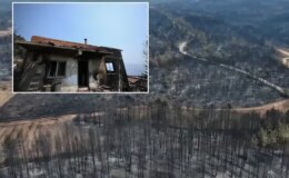 Yüzde 72’si ormanla kaplı Karabük’ün son hali yürek yakıyor