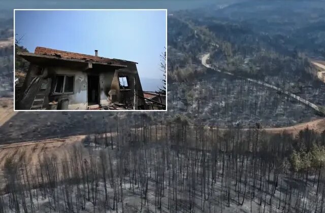 Yüzde 72’si ormanla kaplı Karabük’ün son hali yürek yakıyor