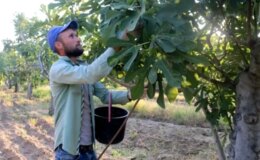 Zor ama parası bol! Aylık 90 bin TL maaşla işçi aranıyor