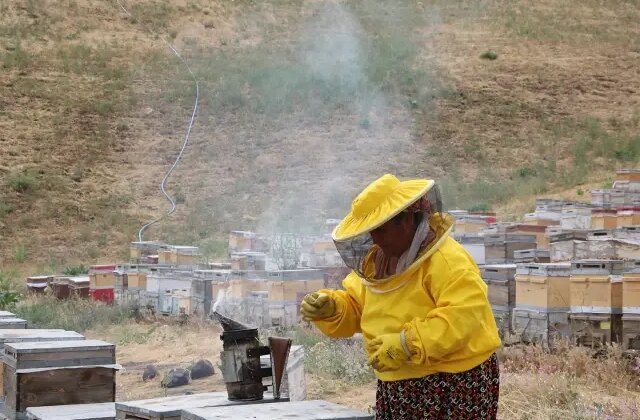5 kovanla başladı, şimdi Türkiye’nin dört bir yanına bal satıyor