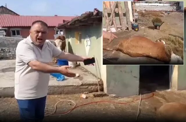 Ardahan’da durum vahim! 6 hayvanını kaybeden üretici ahırı gösterip isyan etti