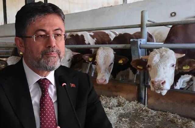 Bakan Yumaklı: Türkiye’de şap hastalığının yeni bir çeşidi 60 sene sonra ilk kez görüldü