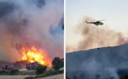 Balıkesir’de arazide çıkan yangın ormanlık alana sıçradı